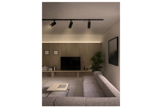 09_DETTAGLIO SOGGIORNO (Casa VT_Progetto di una residenza unifamiliare con struttura in legno)